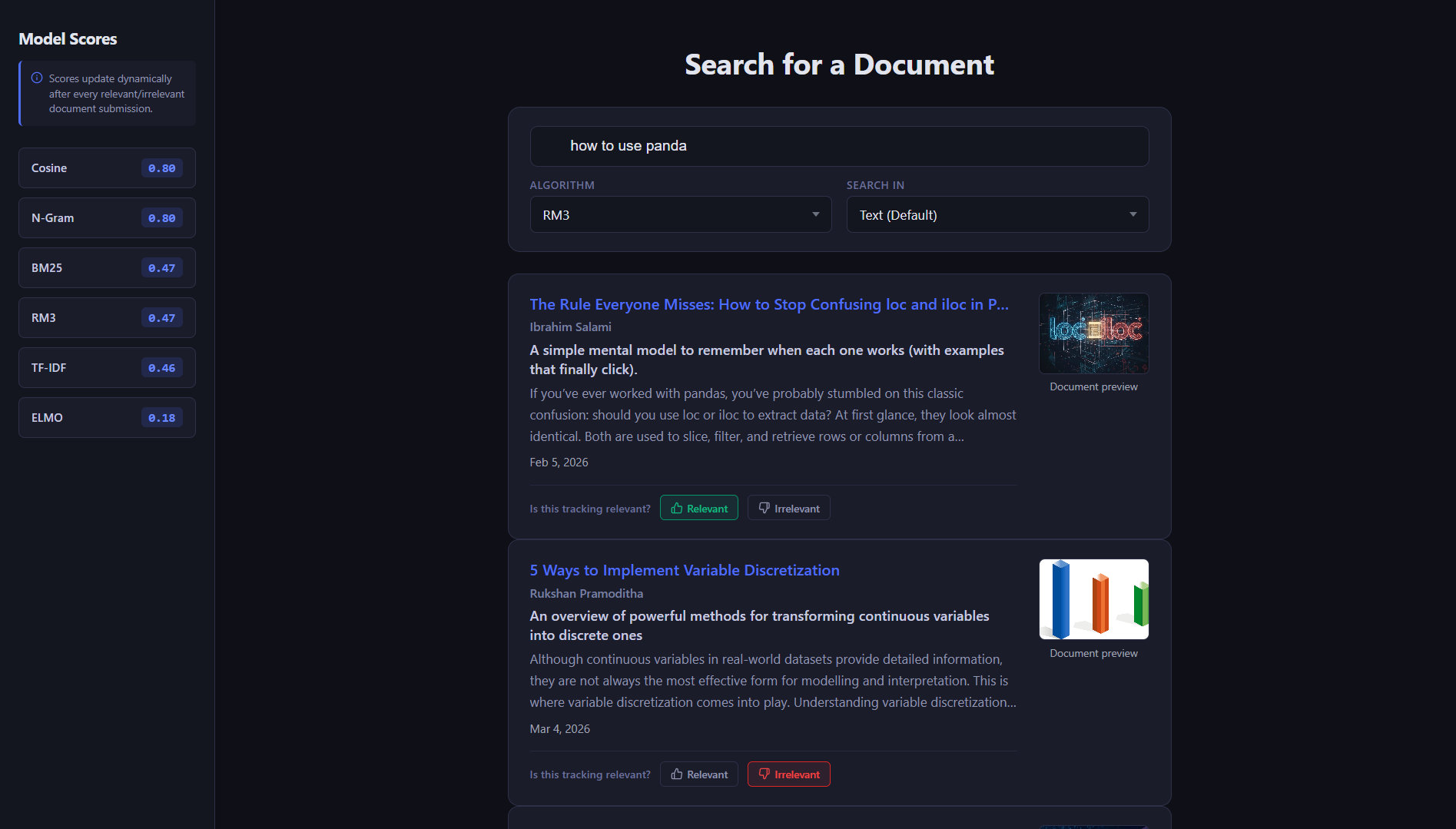 Search engine project preview